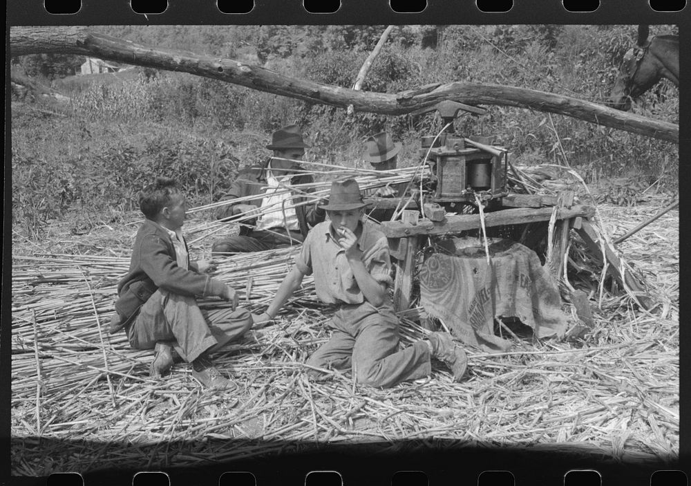 [Untitled photo, possibly related to: Ginning the sorghum cane to make syrup. At a mountaineer's home on the road between…