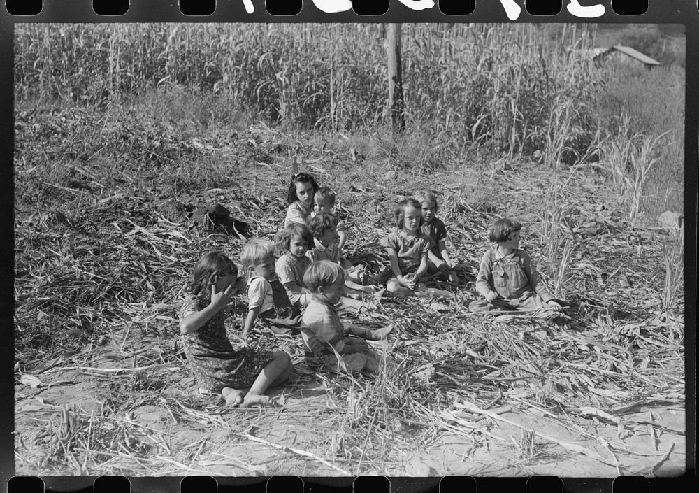 [Untitled photo, possibly related to: Homebuilt boiler pit made of mud and rocks where the sap from the sorghum cane is…
