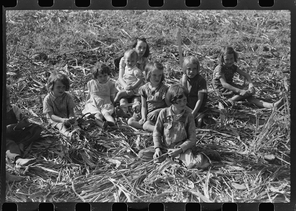 [Untitled photo, possibly related to: Homebuilt boiler pit made of mud and rocks where the sap from the sorghum cane is…