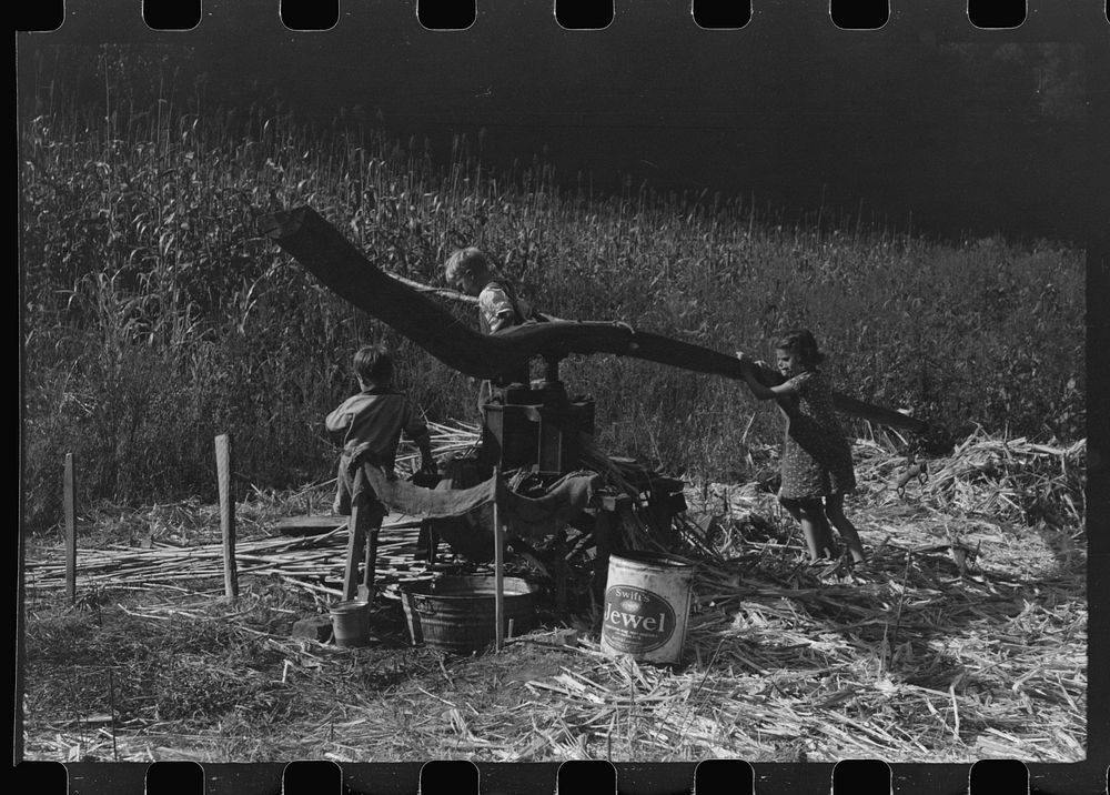 [Untitled photo, possibly related to: Ginning the sorghum cane while making syrup at a mountaineer's home in Breathitt…