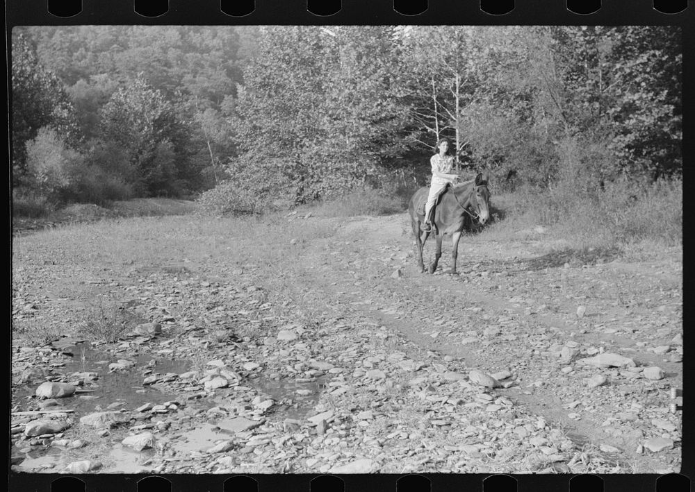 Mountain girl riding home from school on muleback. Up South fork of the Kentucky River. Breathitt County, Kentucky. Sourced…