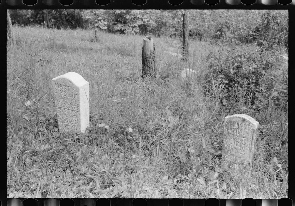 Hand-carved gravestones in an old | Free Photo - rawpixel