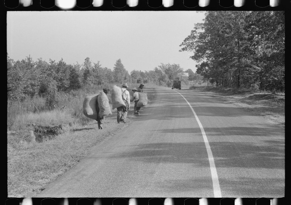[Untitled photo, possibly related to: Caswell County, North Carolina.  tenants taking home grass which was cut along the…