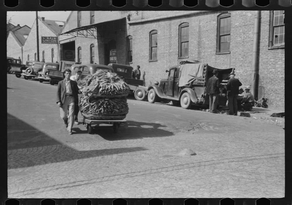 Taking a load of tobacco into the warehouse for the auction sale. Danville, Virginia. Sourced from the Library of Congress.