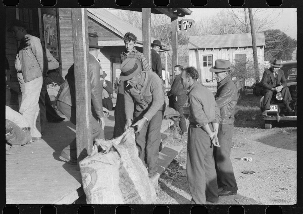 Spanish trappers and fur buyers waiting around while muskrats are being graded during auction sale on porch of community…