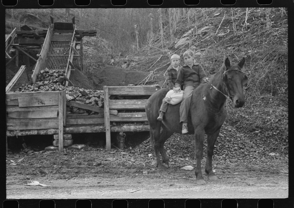 FSA (Farm Security Administration) borrower's children returning home on muleback with a sack of meal. Knox County…