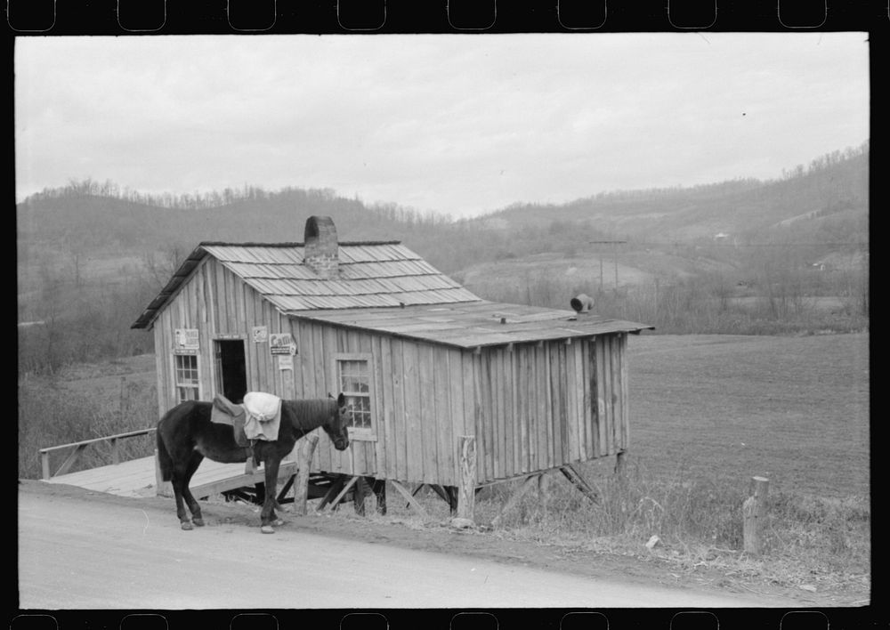 [Untitled photo, possibly related to: Farmer's mule waiting with sack of wheat, Saturday morning, Jackson, Kentucky].…