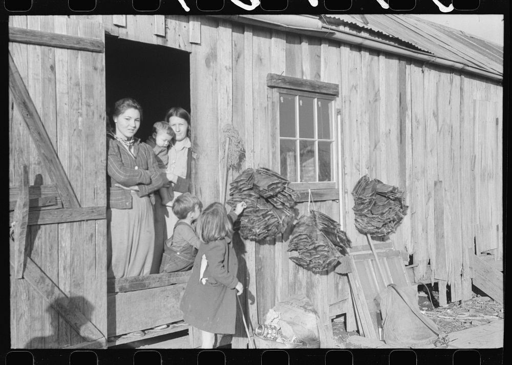[Untitled photo, possibly related to: Spanish trapper's camp home and family with dried muskrat skins hanging in front. In…