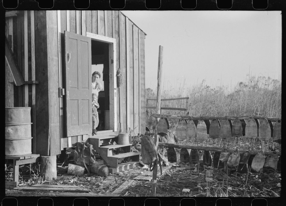 Spanish trapper's wife and child in doorway of their camp.  Stretched muskrat skins drying to the right. In the marshes near…