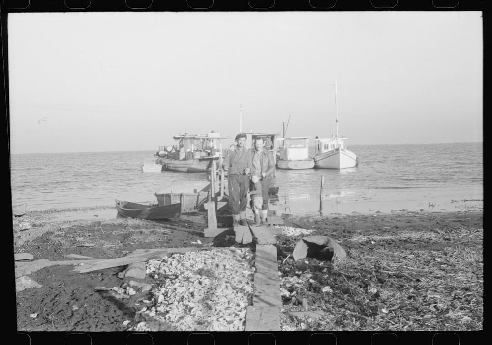 [Untitled photo, possibly related to: Spanish trappers wringing muskrats in shed on dock near their camp in the marshes near…