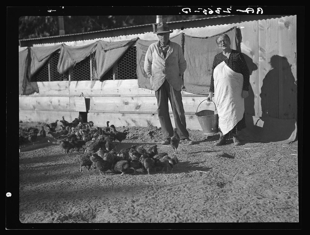 Rehabilitation clients. Five miles outside Phoenix, Arizona. Five hundred dollar loan for poultry (considered a good loan).…