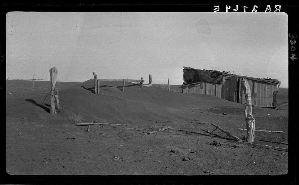 Fence corner and outbuilding being buried by dust. Misuse of lands is the chief cause of results such as this. Mills, New…