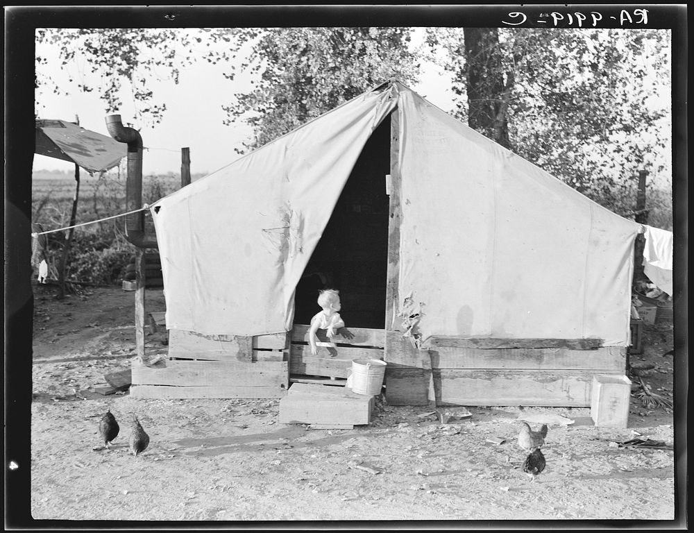 Migratory orange picker's camp. Exeter, California. Sourced from the Library of Congress.