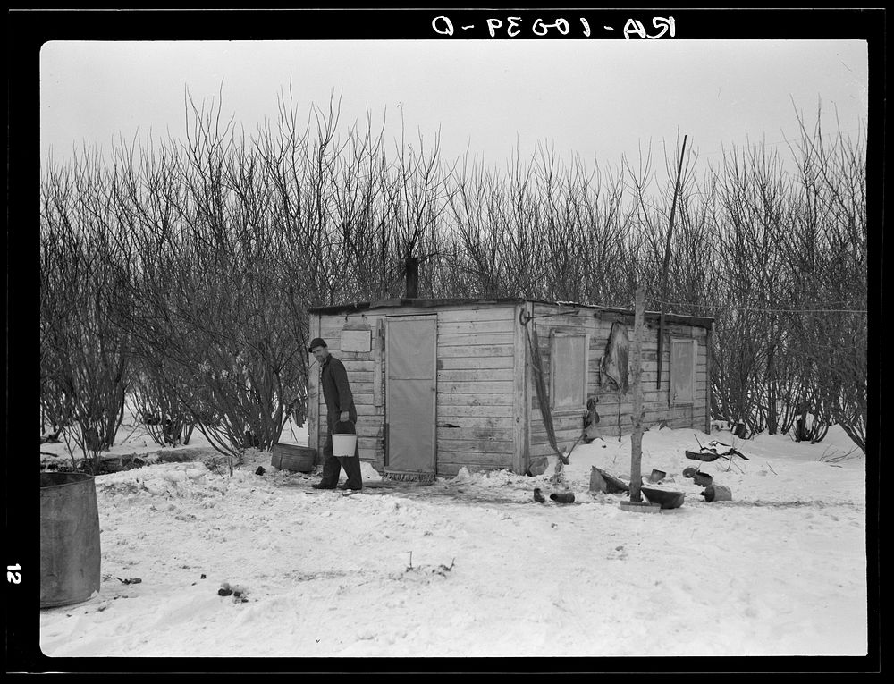 William Helmke in front of his one-room shack built by himself. Ninety acre farm, crop share lease owned by lawyer. Iowa by…