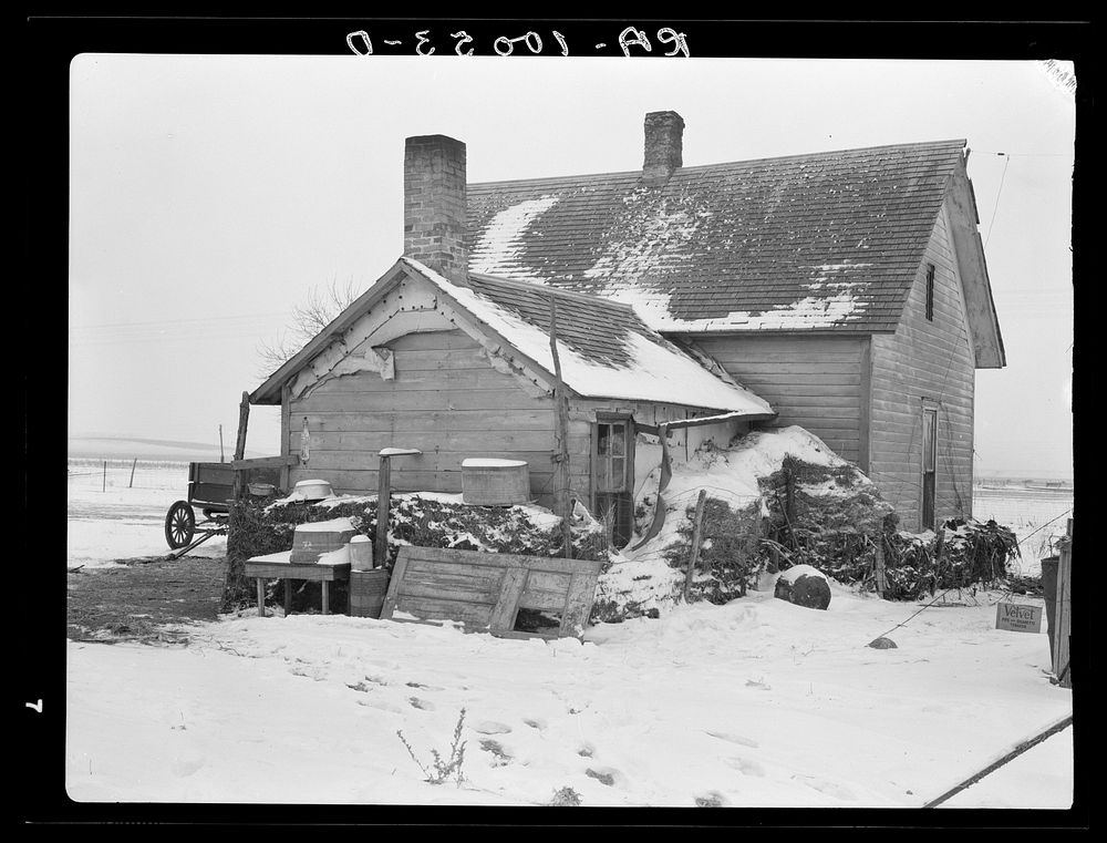 House on Edmond William's farm banked with manure. Straw or manure banking is common practice in Iowa, but good houses…