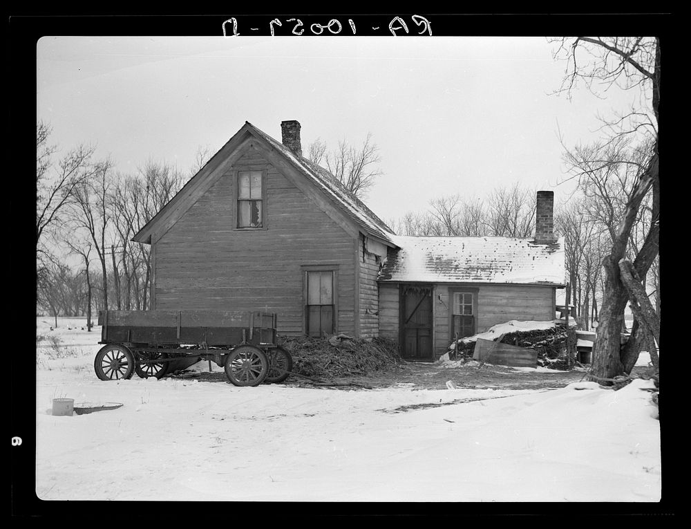 House on fifty-seven acre farm rented by Edmond Williams. The house is banked with manure to keep out the cold. This is…