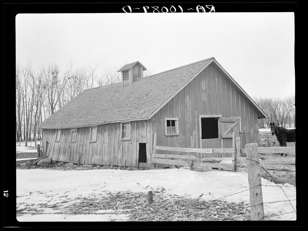 Hog house on Roy Merriott farm near Estherville, Iowa, one hundred sixty acres. Until recently this farm was owned by a loan…
