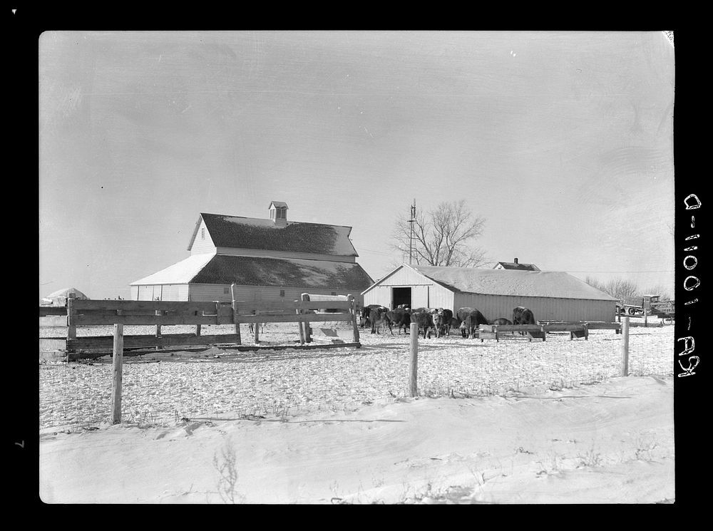 Some of the farm buildings of owner-operated farm. Three hundred and sixty acres owned by Harry Madsen near Dickens, Iowa.…