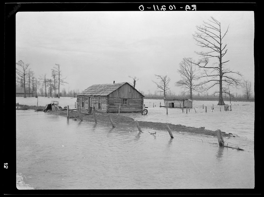 Flooded farm near New Madrid, Missouri by Russell Lee