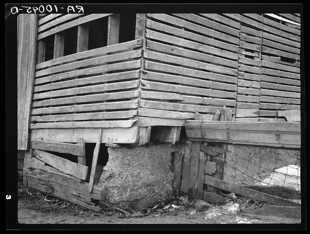 Detail of corn crib on Lyle Askedland farm, six hundred forty acres, near Armstrong, Iowa. This building has received little…