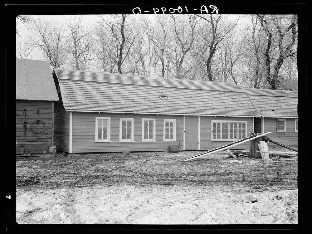 Chicken house (center) erected by tenant Al Richards on farm owned by absentee owner. Near Wallingford, Iowa by Russell Lee