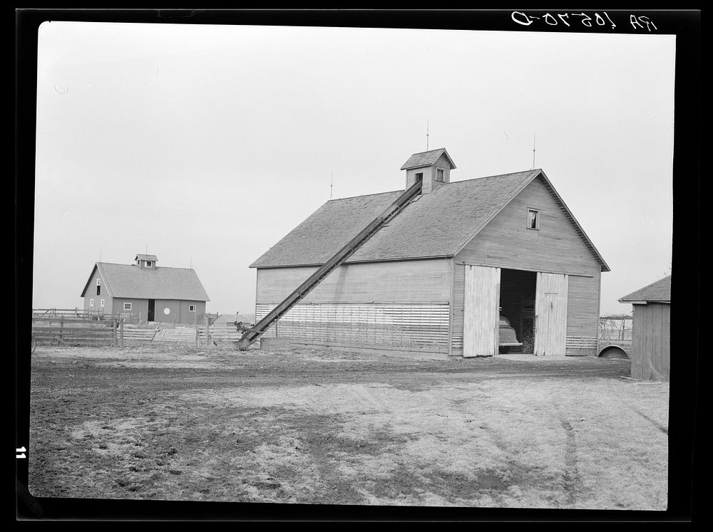 Corncrib and one of the two barns on Roy Conner's owner-operated farm near Templeton, Indiana. This one hundred sixty acre…