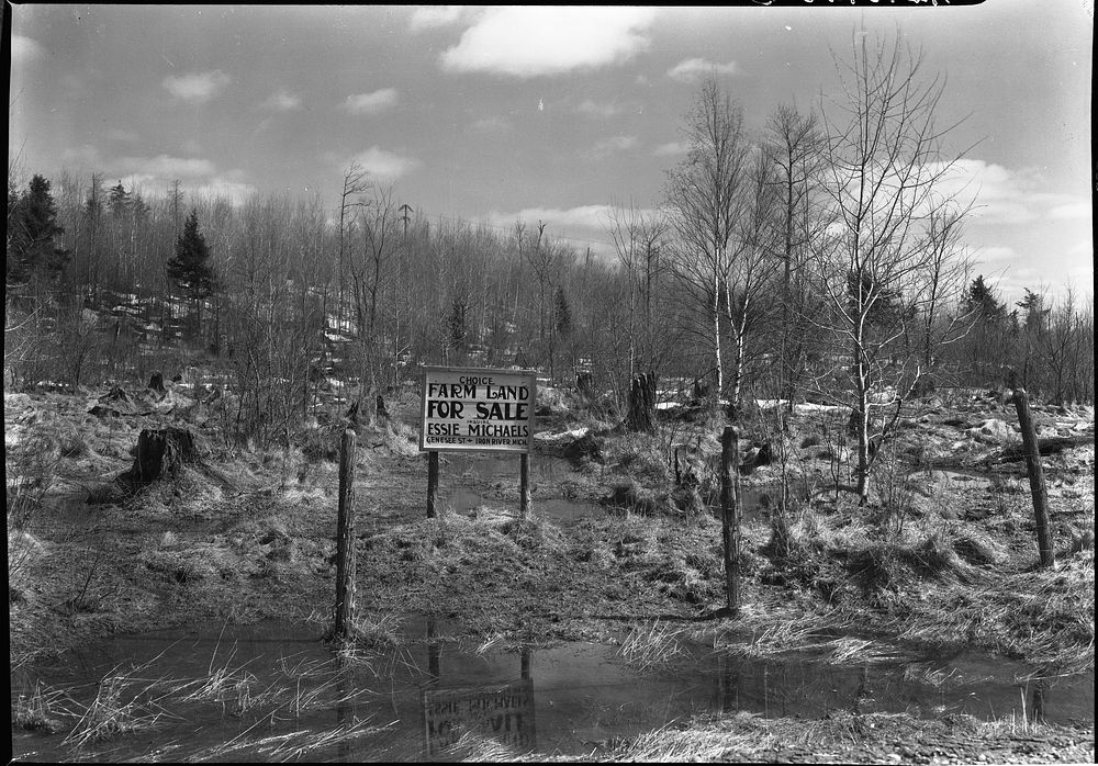 Signboard on land near Iron River, Michigan by Russell Lee