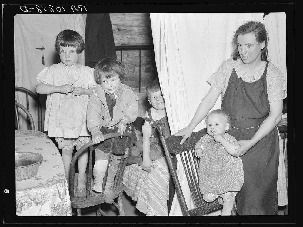 Children of Mrs. Bodray's daughter in their shack near Tipler, Wisconsin. A sheet separates the front part of their one-room…