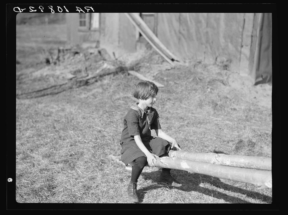 One of the Max Sparks' children playing on homemade teeter-totter near Long Lake, Wisconsin by Russell Lee