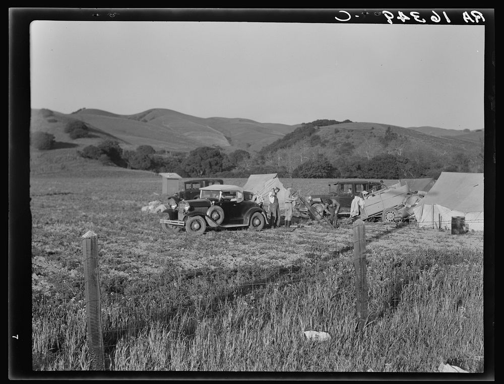Pea pickers' camp near San Jose, California. Sourced from the Library of Congress.