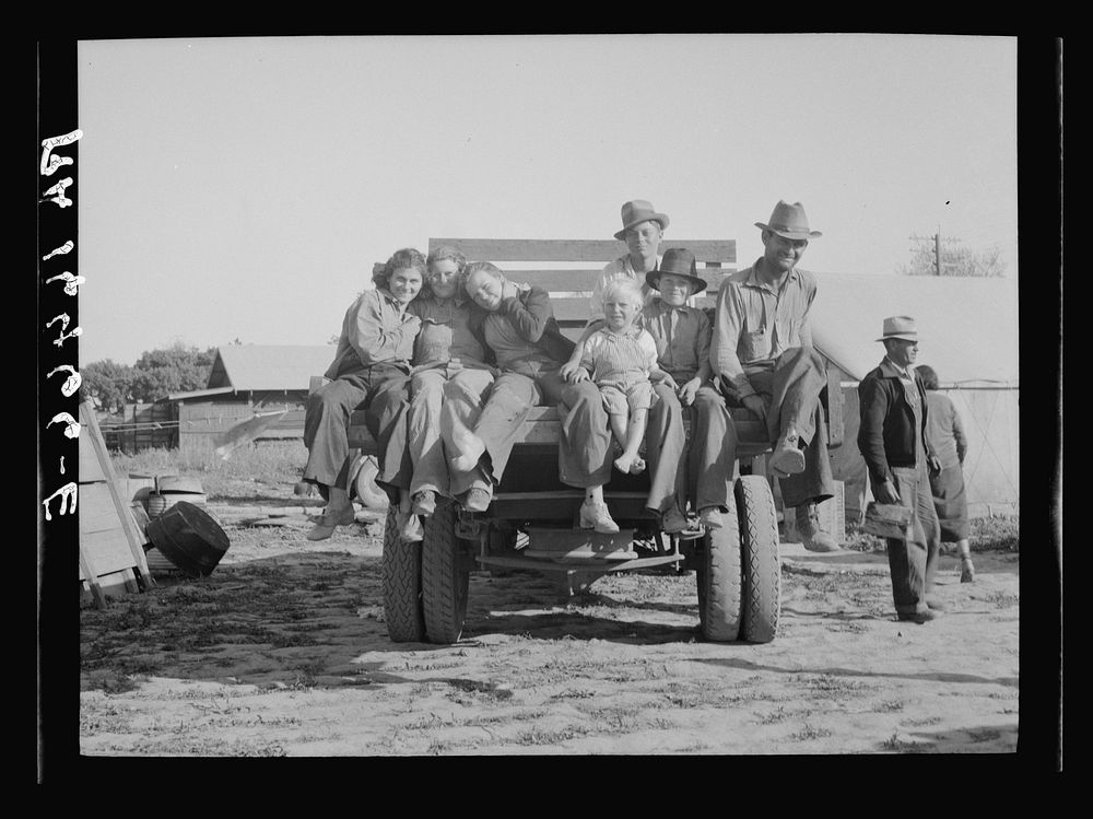 California pea pickers returning to camp after a day's work in the field. Near Santa Clara, California. Sourced from the…