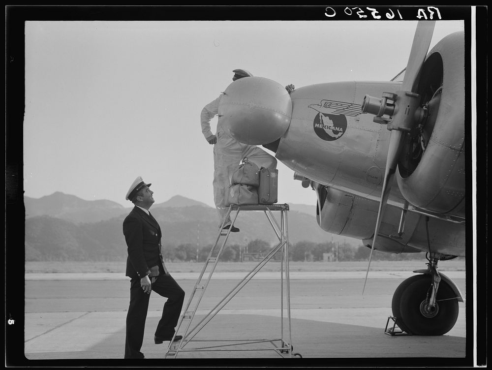 Plant quarantine inspectors examining plane at the Glendale Airport, California. Sourced from the Library of Congress.