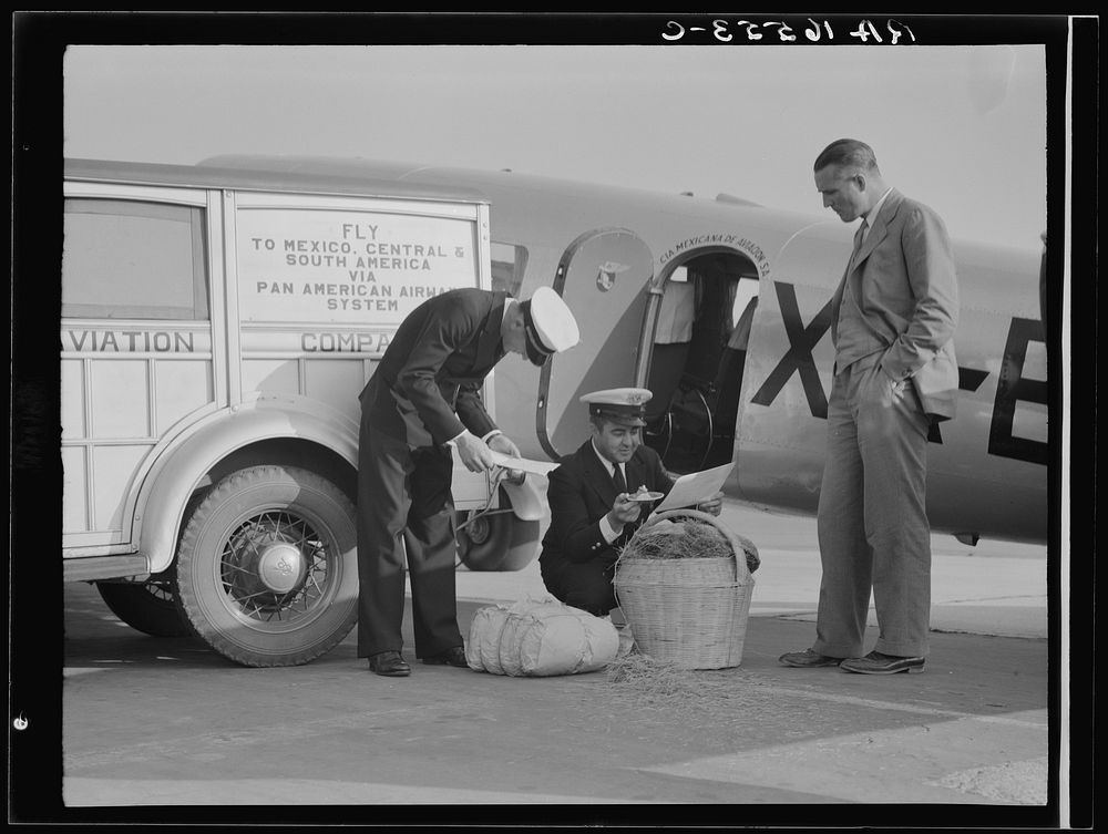 Plant quarantine inspectors examining baggage from Mexico for injurious insects. Glendale Airport, California. Sourced from…
