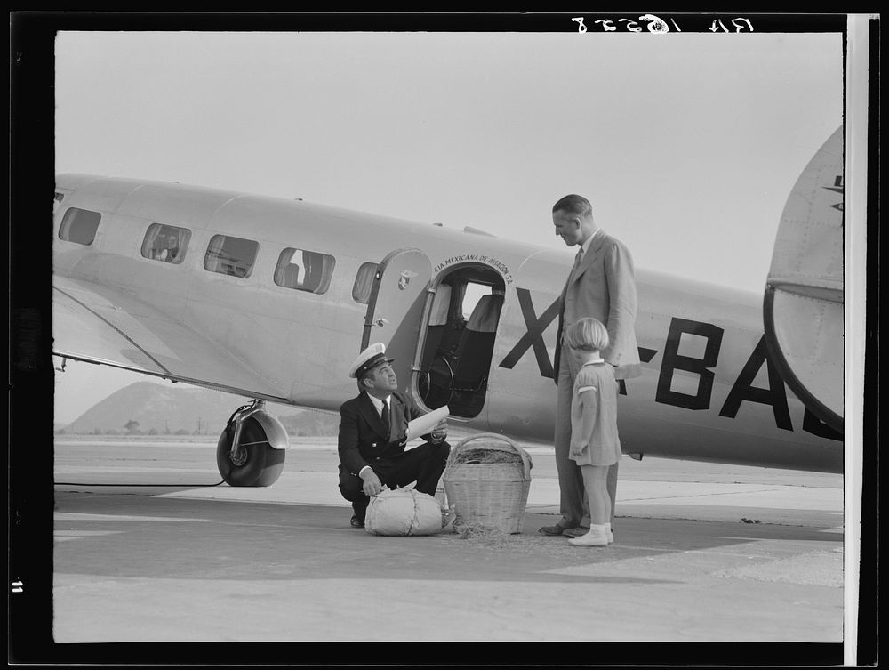 Plant quarantine inspector examining baggage brought into the United States by plane from Mexico. Glendale California.…