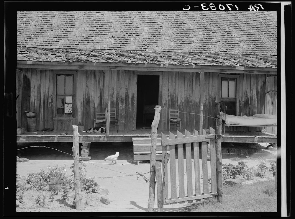 Home of white tenant farmer family. Newport, Oklahoma. Sourced from the Library of Congress.