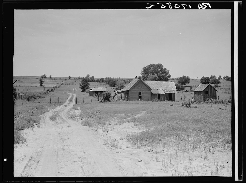 Worn-out land and abandoned cabins near Newport, Oklahoma. Sourced from the Library of Congress.