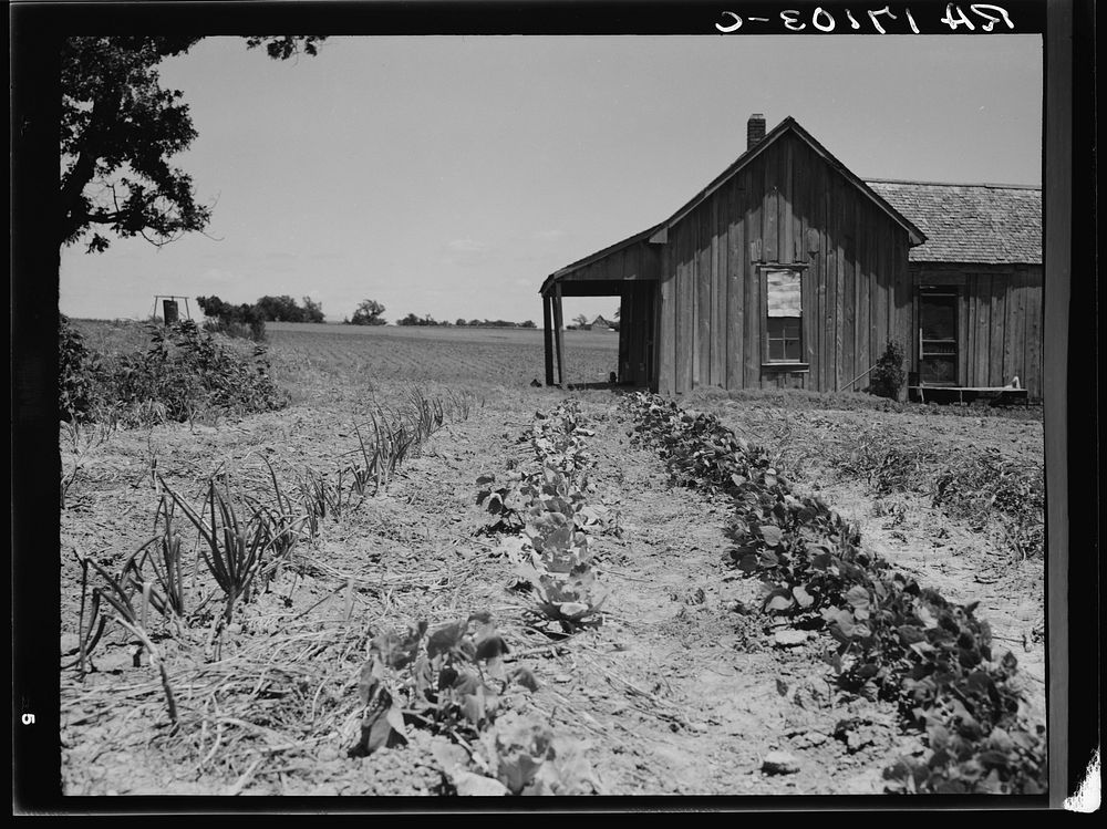 House of ex-tenant farmer now on relief. Ellis County, Texas. Sourced from the Library of Congress.