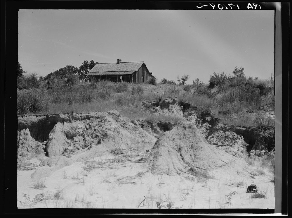 Eroded cotton farm near Jackson, Mississippi. Sourced from the Library of Congress.