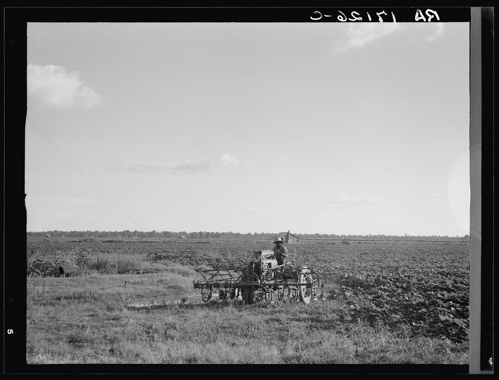 Aldridge Plantation, Mississippi. Sourced from the Library of Congress.