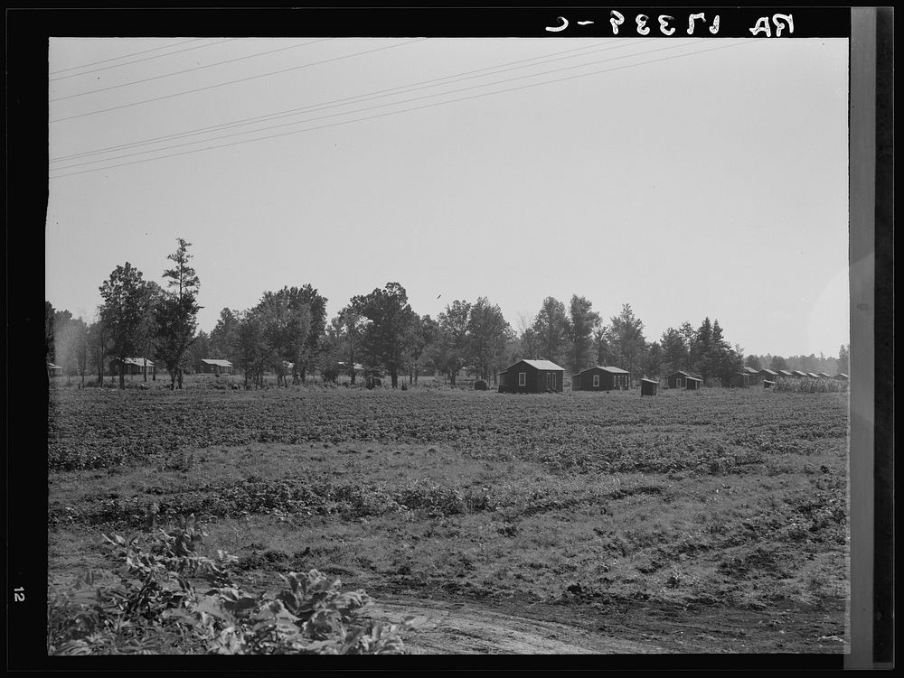Delta cooperative farms. Hillhouse, Mississippi.  cabins are on one side, white cabins on the other. Sourced from the…