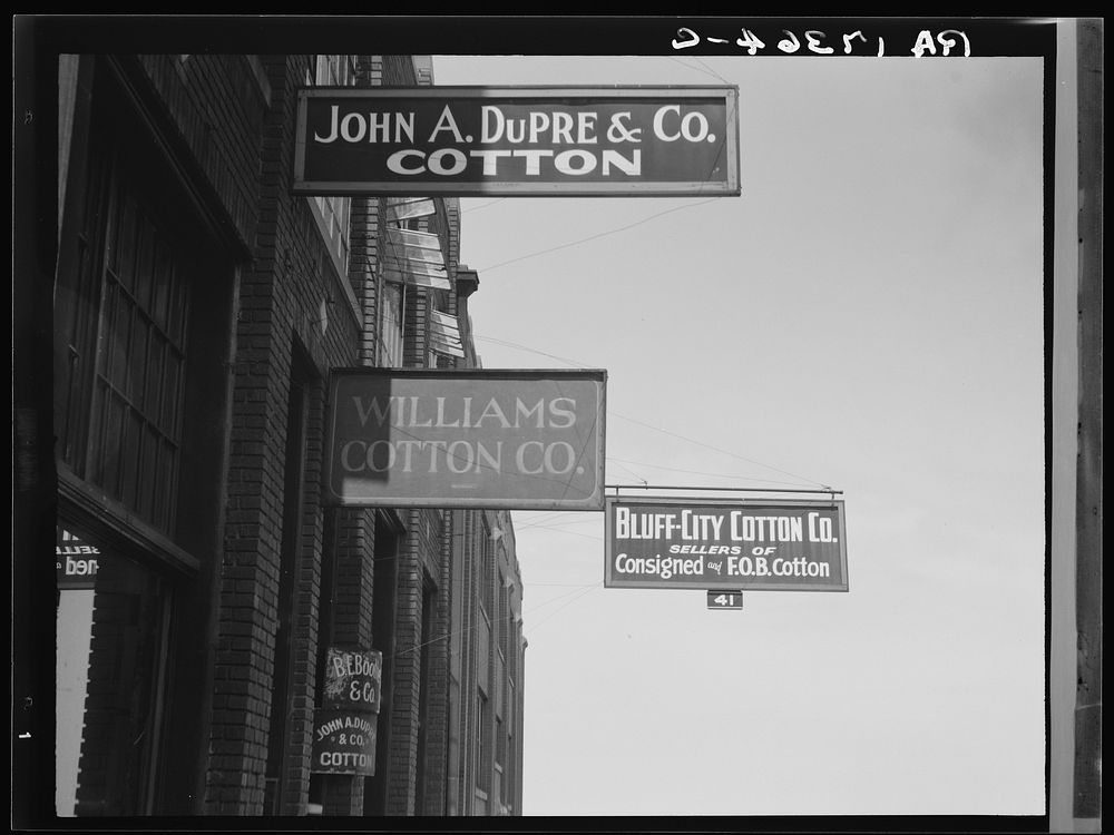 Looking down Union Avenue. Memphis, Tennessee by Dorothea Lange