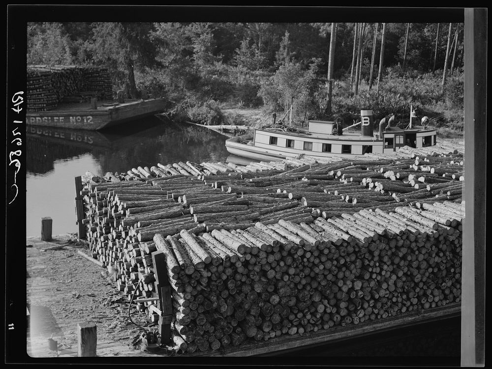 Pulp wood going down the River Styx to Mobile by inland waterway near Robertsdale, Alabama. Sourced from the Library of…