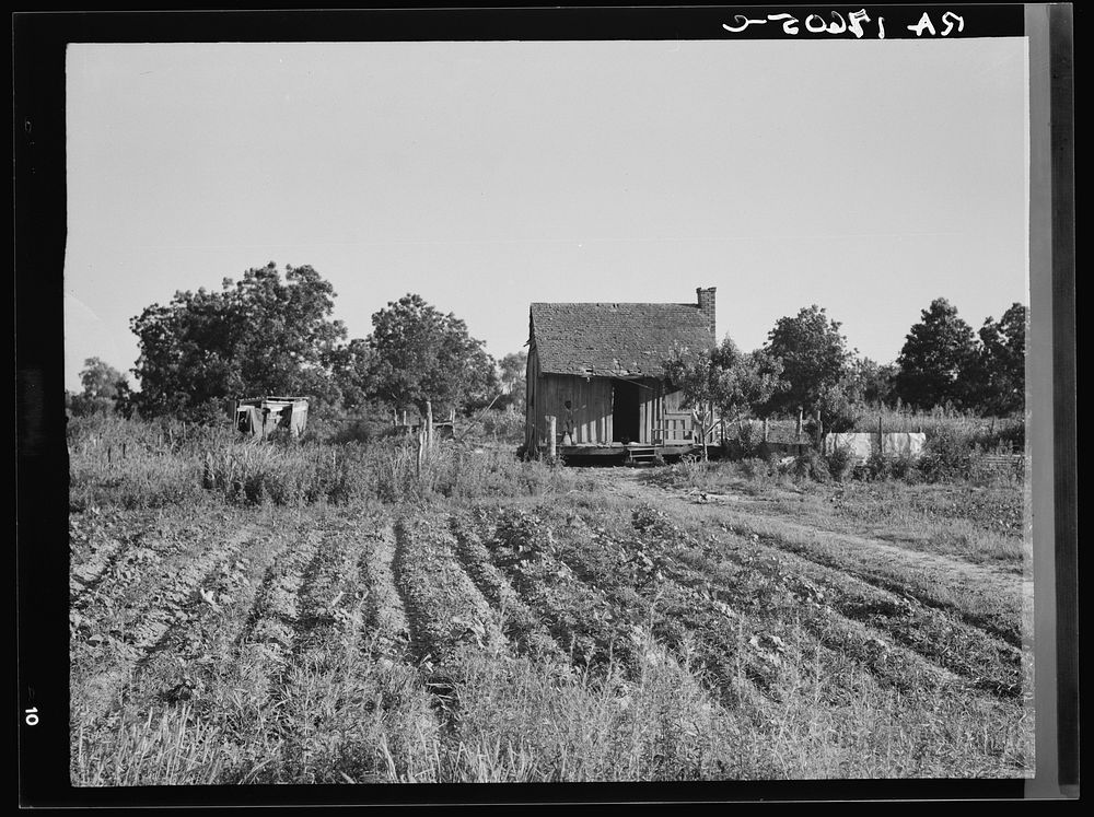 Home of Mississippi tenant farmer. Sourced from the Library of Congress.