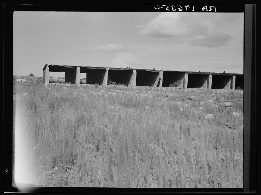 Remains of dry kiln shed. Fullerton, Louisiana. Abandoned lumber town. Sourced from the Library of Congress.