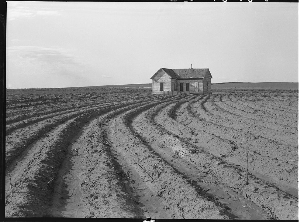 Power farming displaces tenants from the land in the western dry cotton area. Childress County, Texas Panhandle by Dorothea…