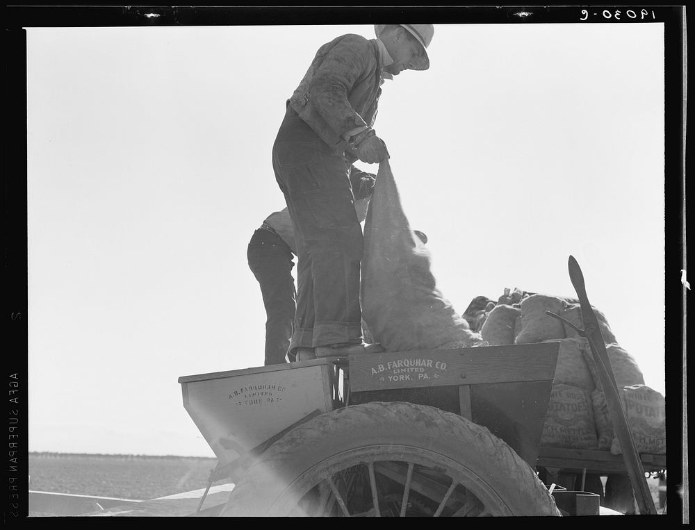 Loading bins of potato planter with fertilizer and seed from trailer at edge of field. Kern County, California by Dorothea…