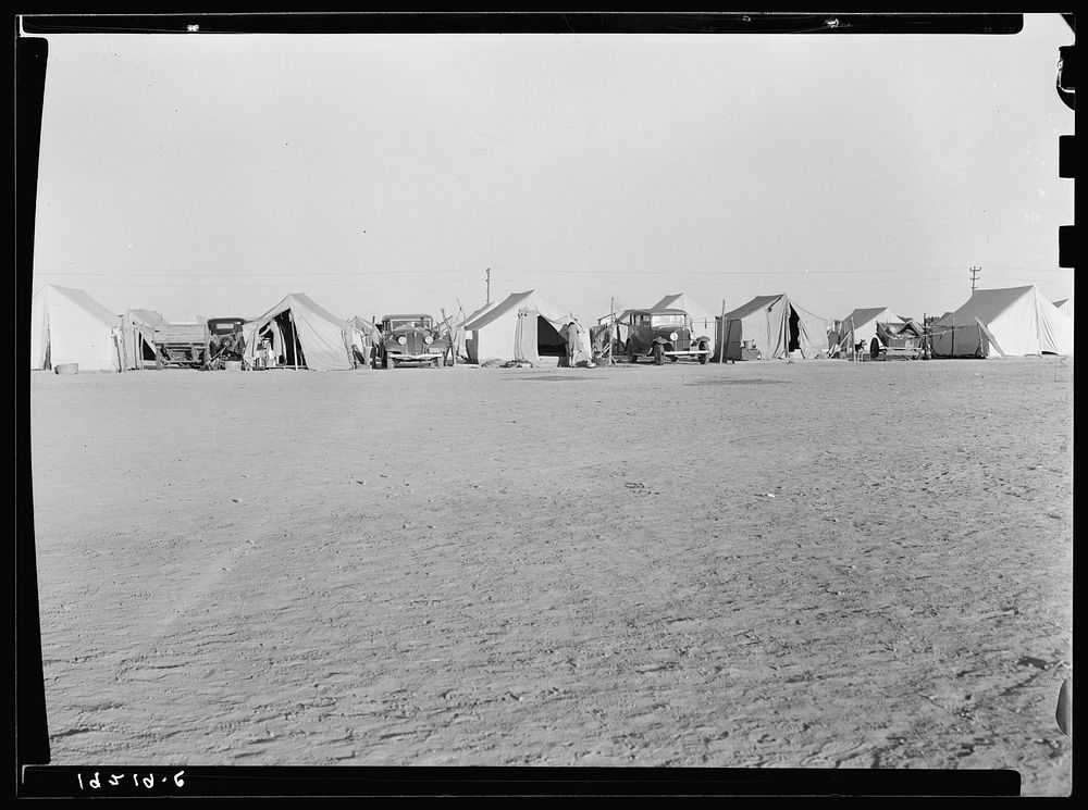 Farm Security Administration (FSA) emergency migratory labor camp. Row of tents, homes of pea pickers seem across…