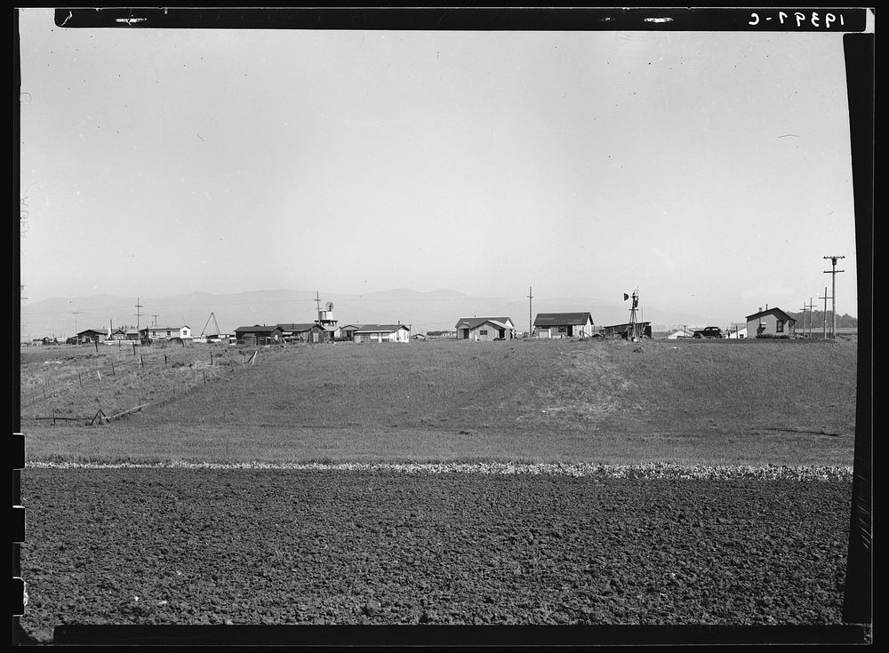 Outskirts of Salinas, California. Shacks occupied by lettuce shed workers, many from Oklahoma. Sourced from the Library of…
