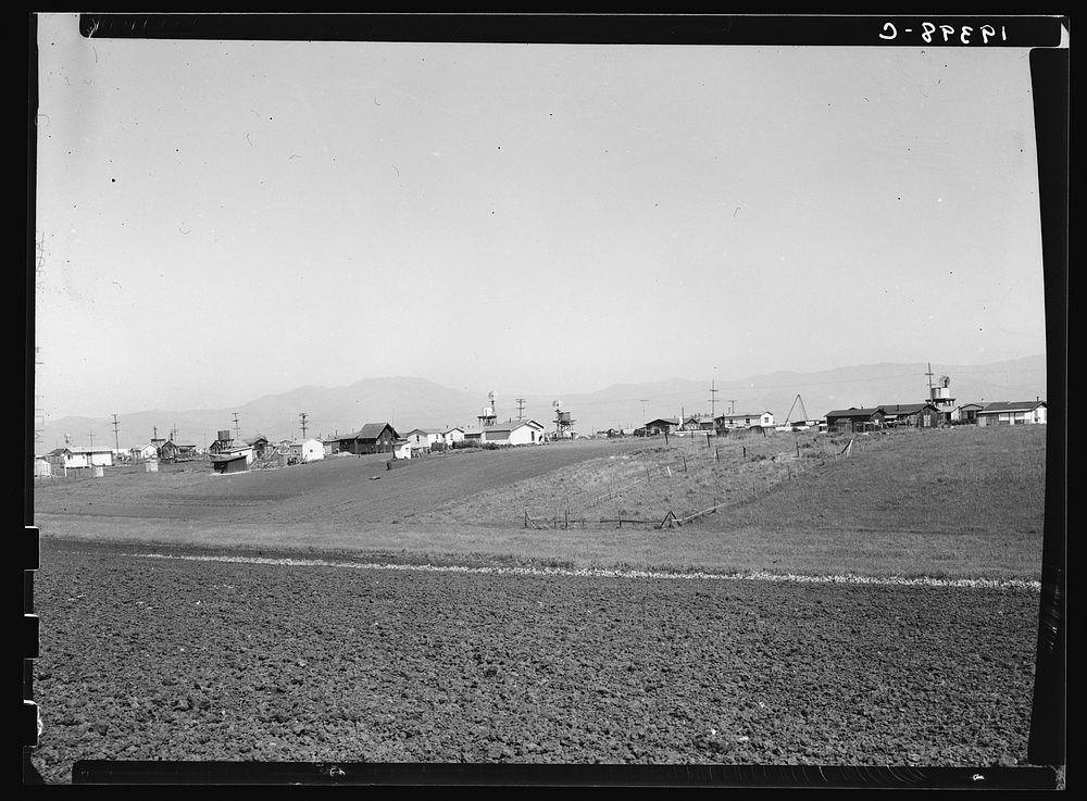 [Untitled photo, possibly related to: Outskirts of Salinas, California. Shacks occupied by lettuce shed workers, many from…