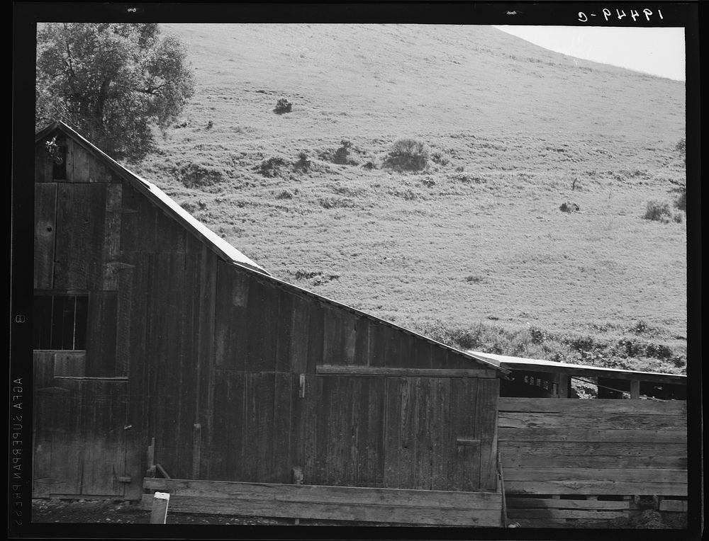 [Untitled photo, possibly related to: Barn in a valley back of Mission San Jose. Santa Clara County, California]. Sourced…